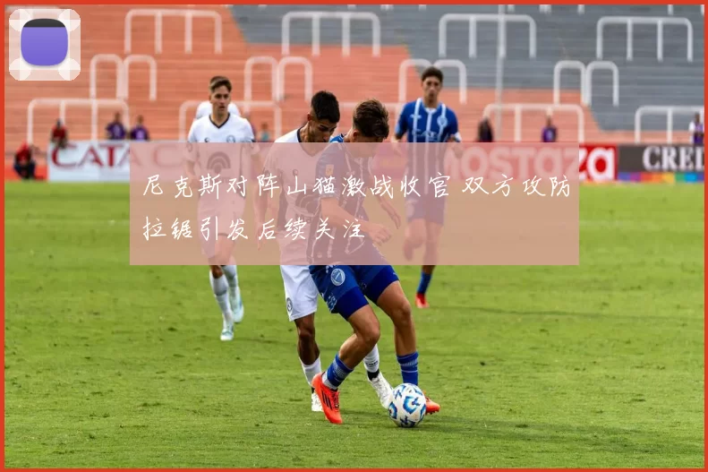 尼克斯对阵山猫激战收官 双方攻防拉锯引发后续关注