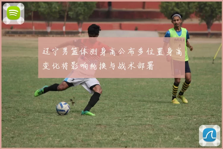 辽宁男篮体测身高公布多位置身高变化将影响轮换与战术部署