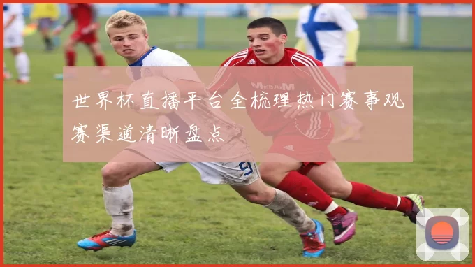 世界杯直播平台全梳理热门赛事观赛渠道清晰盘点